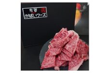 佐賀牛はしっこちゃん1Kg 161-J1223