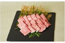 佐賀牛 ロース 焼肉用 500g 149-J823