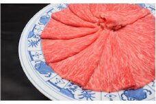 佐賀牛 ももスライス 500g 149-J841