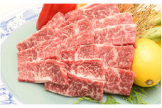 佐賀牛 カルビ 焼肉用 500g 149-J845