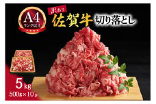 【 佐賀牛 】 訳あり！ 切り落とし 5kg（500g×10p） 159-J1023