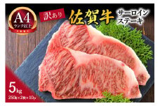 【 佐賀牛 】 訳あり！ サーロイン ステーキ 5kg（250g2枚入り×10p） 159-J1022