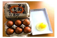 歩く花 たまご 卵 6個入り×2箱 164-B529