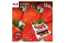 伊万里産「いちごさん」 250g×4 パック ～鶴田農園～ 046-B496