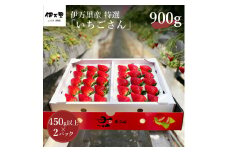 【先行予約】伊万里産 特選「いちごさん」 450g 以上× 2パック ～鶴田農園～ 046-B497