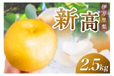 【 数量限定 】 伊万里梨 新高 2.5kg 令和7年産 113-B851
