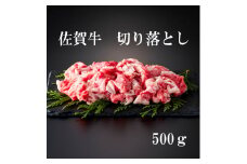 佐賀牛 切り落とし 500g 161-J879