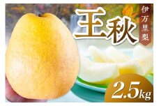 【 数量限定 】 伊万里梨 王秋 2.5kg 令和7年産 113-B852