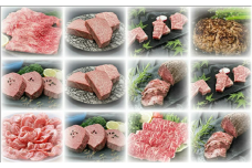 肉の定期便 厳選佐賀牛を毎月12回お届け 999-J902