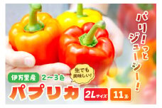 伊万里産 肉厚ジューシー パプリカ2Lサイズ11玉入 048-B597