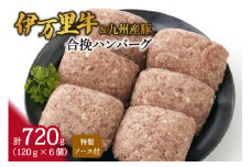 合挽ハンバーグ（伊万里牛&九州産豚） 061-J957