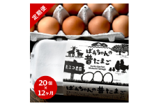 【12回定期便】平飼いで のびのび！ばあちゃんの昔たまご 20個/月 割れ保証あり 999-B617