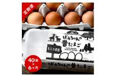 【6回定期便】平飼いで のびのび！ばあちゃんの昔たまご 40個/月 割れ保証あり 999-B619