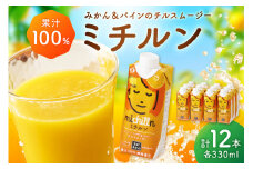 【佐賀県産温州みかん使用】 果汁 ミックスジュース ミチルン 330ml×12本 173-A043