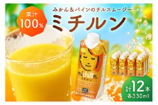 【佐賀県産温州みかん使用】 果汁 ミックスジュース ミチルン 330ml×12本 173-A058