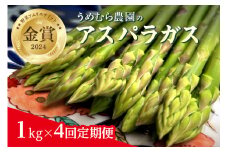 【6月より順次発送】野菜ソムリエサミット『金賞』受賞、自噴水と寒暖差が育んだアスパラ定期便1kg×4回 999-B623