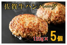 佐賀牛100%手づくりハンバーグ 120gｘ5個 180-J1014