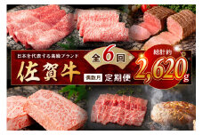 【発送月固定 定期便】肉の定期便！ 厳選 佐賀牛 隔月お届け（偶数月）全6回 999-J1170