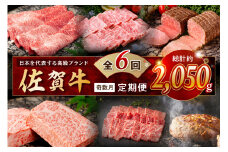 【発送月固定 定期便】肉の定期便！ 厳選 佐賀牛 隔月お届け（奇数月）全6回 999-J1169