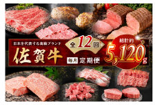 【発送月固定 定期便】肉の定期便！ 佐賀牛 毎月月替わりでお届け 全12回 999-J1171