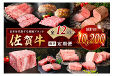 【発送月固定 定期便】肉のプレミアム定期便！ 毎月 佐賀牛 をお届け！全12回 999-J1173