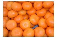 夏場に食べられる！ハウスみかん 1kg 化粧箱入り 003-B727