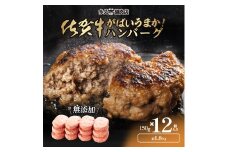 佐賀県産 がばいうまか！佐賀牛ハンバーグ （150g×12個 計1.8kg） 191-J1381