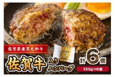 佐賀牛 入り ハンバーグ 150g×6個 125-J1046