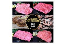 【奇数月に計６回】ALL 佐賀牛 がばいうまか 定期便 191-J1388
