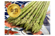 【先行受付　令和8年3月より順次発送】野菜ソムリエサミット『金賞』受賞、自噴水と寒暖差が育んだアスパラ定期便1ｋｇ×10回 999-B855