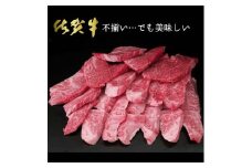 【訳あり】佐賀牛ヒレ焼肉用（切落とし）600ｇ 192-J1558