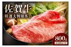 佐賀牛 特選大判切落し 800g 194-J1614