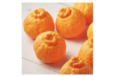 佐賀産 デコポン 約5kg (15-24玉) (伊万里市) 柑橘類 147-B803