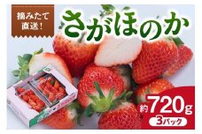 佐賀産 いちご さがほのか 3パック 147-B807