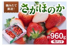 佐賀産 さがほのか 4パック 147-B808