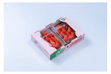 佐賀産 さがほのか 8パック 147-B809