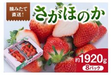 佐賀産 さがほのか 8パック 147-B809