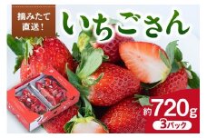 佐賀産 いちごさん 3パック 147-B810
