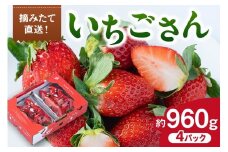 佐賀産 いちごさん 4パック 147-B811