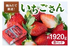 佐賀産 いちごさん 8パック 147-B812