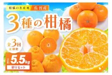 佐賀産 柑橘定期便 彩りセット【全3回】 せとか はまさき デコポン 999-B859