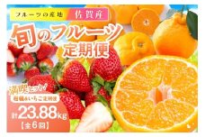 佐賀産 旬のフルーツ定期便 満喫セット【全6回】 柑橘 いちご　999-B870