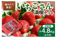 佐賀産「いちごさん」定期便 満喫セット【全3回】　999-B868