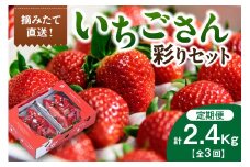 佐賀産「いちごさん」定期便 彩りセット【全3回】　999-B867