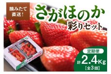 佐賀産「さがほのか」定期便 彩りセット【全3回】 999-B865