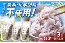 【自然農法で育てた】 古代米 三穀米 （黒米・赤米・緑米） 900g（300g×3袋）/永尾 忠則 [UAS002] 雑穀 雑穀米 米 お米