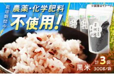【自然農法で育てたやさしい甘み】 古代米 黒米 900g（300g×3袋） /永尾 忠則 [UAS001] 雑穀 雑穀米 米 お米