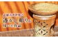 【東馬窯】灰釉茶香炉（幾何学柄） [UCI005] 焼き物 やきもの 茶香炉 インテリア
