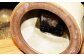 【東馬窯】絵粉引掛け分け置き時計 [UCI008] 焼き物 やきもの 時計 置時計