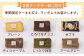 【しっとりフワフワ甘さ控えめ】カット シフォンケーキ アソート 12個 セット スイーツ 洋菓子 お菓子 つめあわせ 焼き菓子